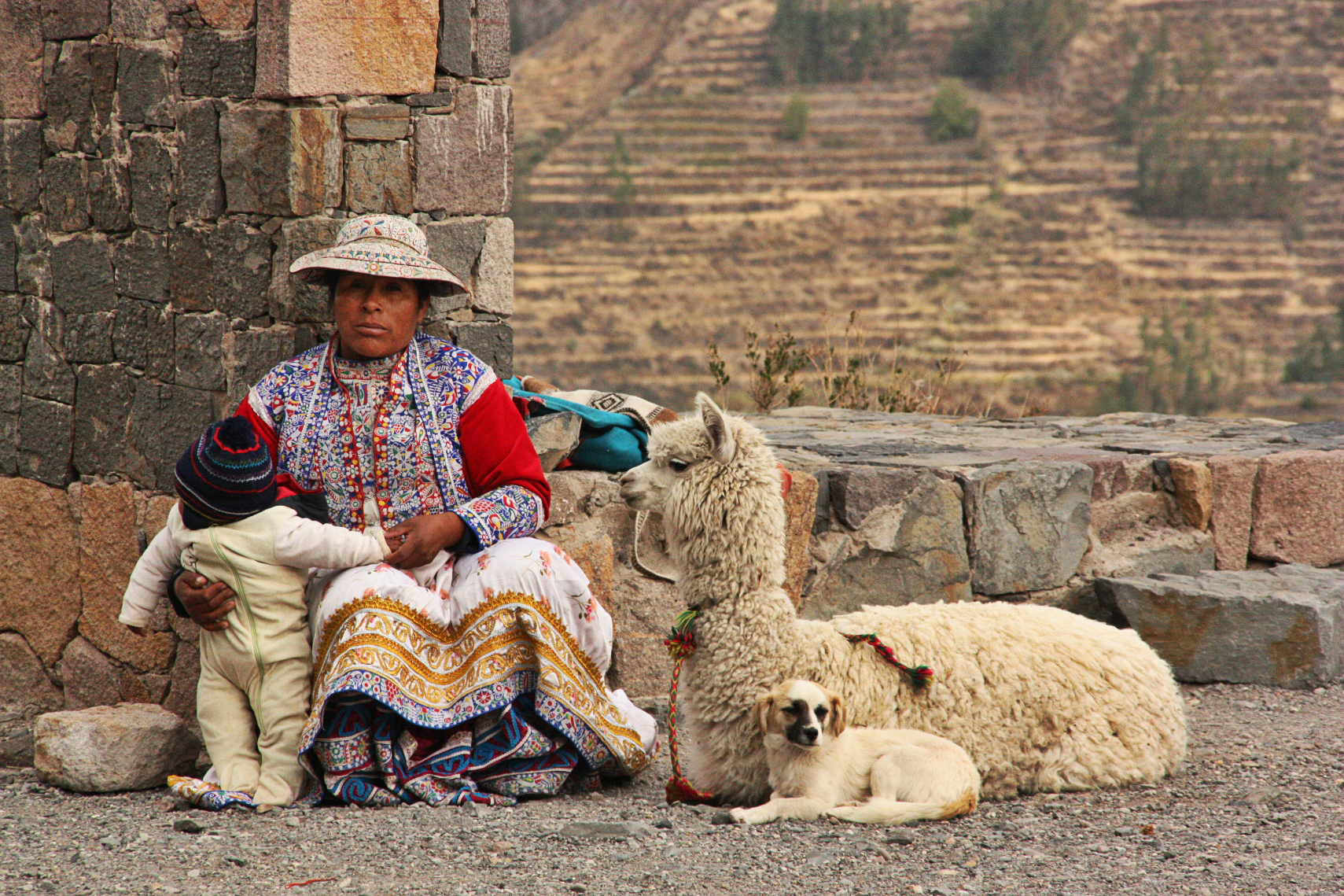 Wyspa Skarbów, odc. 8 PERU