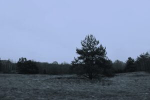 "Wszystkie chwyty dozwolone", odc. 4