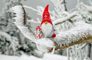 "Białe Święta" - świąteczna niespodzianka od zespołu NiUS Radia