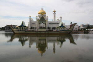 "Wyspa Skarbów", odc. 11 BORNEO